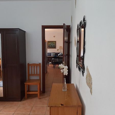 Villa Peaceful House Set On A Vineyard & Work Friendly Valsequillo de Gran Canaria Exterior foto