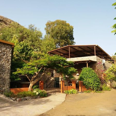 Villa Peaceful House Set On A Vineyard & Work Friendly Valsequillo de Gran Canaria Exterior foto