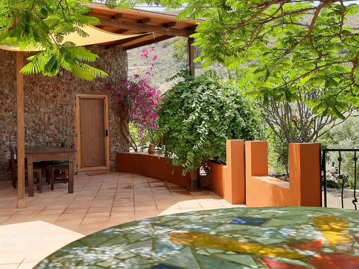Villa Peaceful House Set On A Vineyard & Work Friendly Valsequillo de Gran Canaria Exterior foto