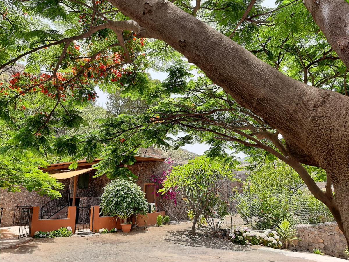 Villa Peaceful House Set On A Vineyard & Work Friendly Valsequillo de Gran Canaria Exterior foto