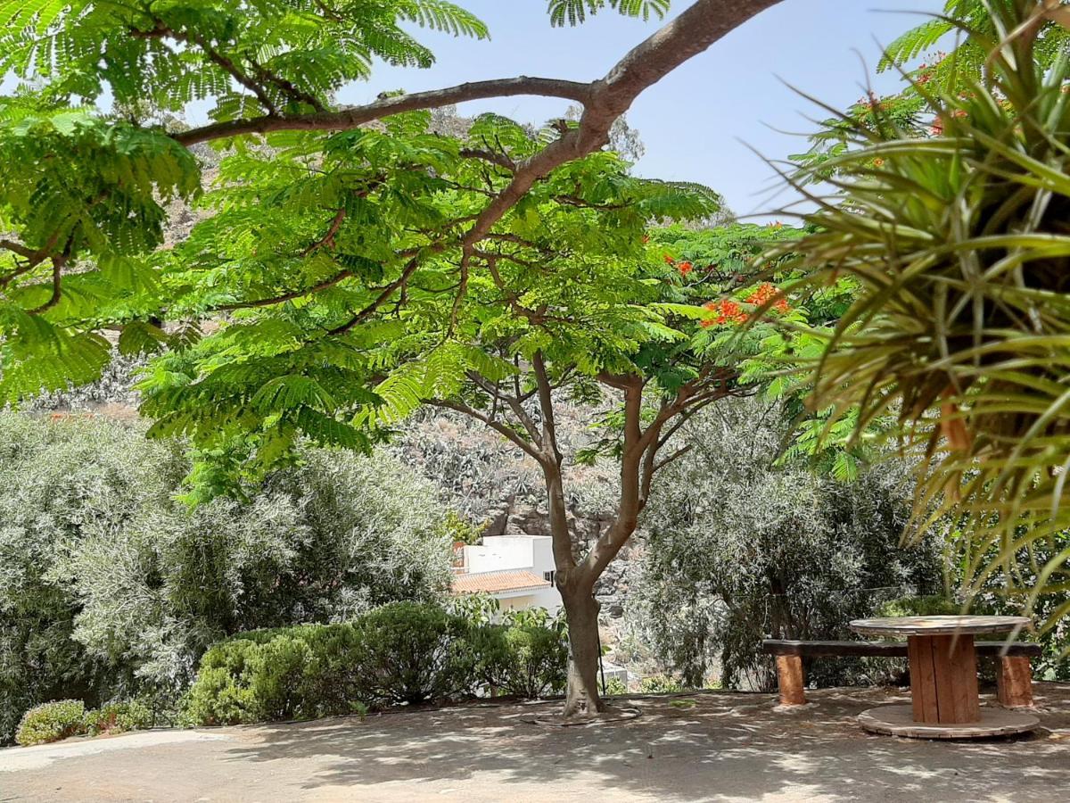 Villa Peaceful House Set On A Vineyard & Work Friendly Valsequillo de Gran Canaria Exterior foto