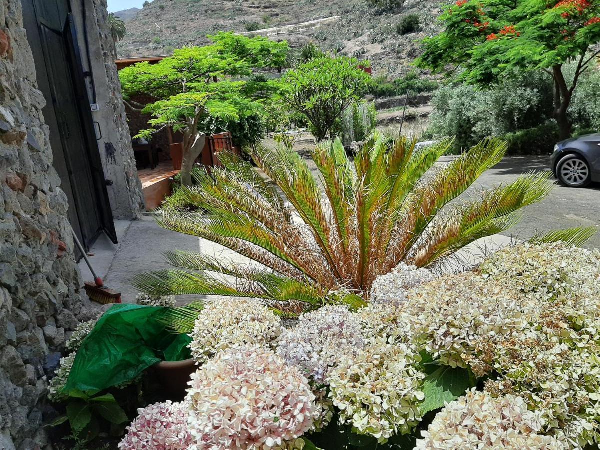 Villa Peaceful House Set On A Vineyard & Work Friendly Valsequillo de Gran Canaria Exterior foto