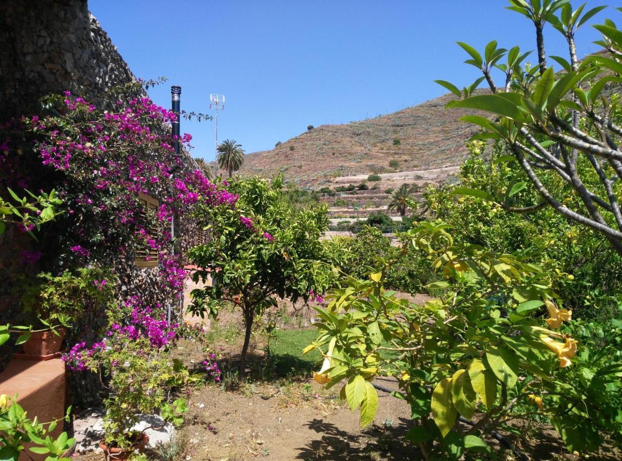 Villa Peaceful House Set On A Vineyard & Work Friendly Valsequillo de Gran Canaria Exterior foto