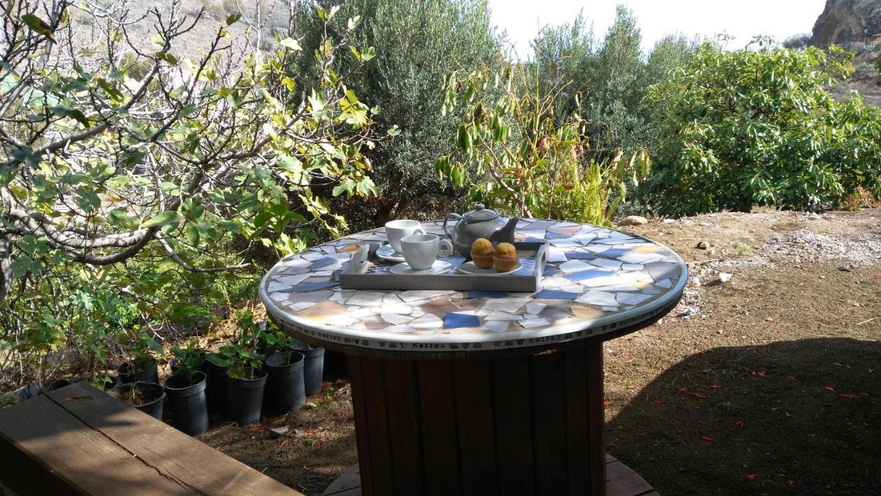 Villa Peaceful House Set On A Vineyard & Work Friendly Valsequillo de Gran Canaria Exterior foto