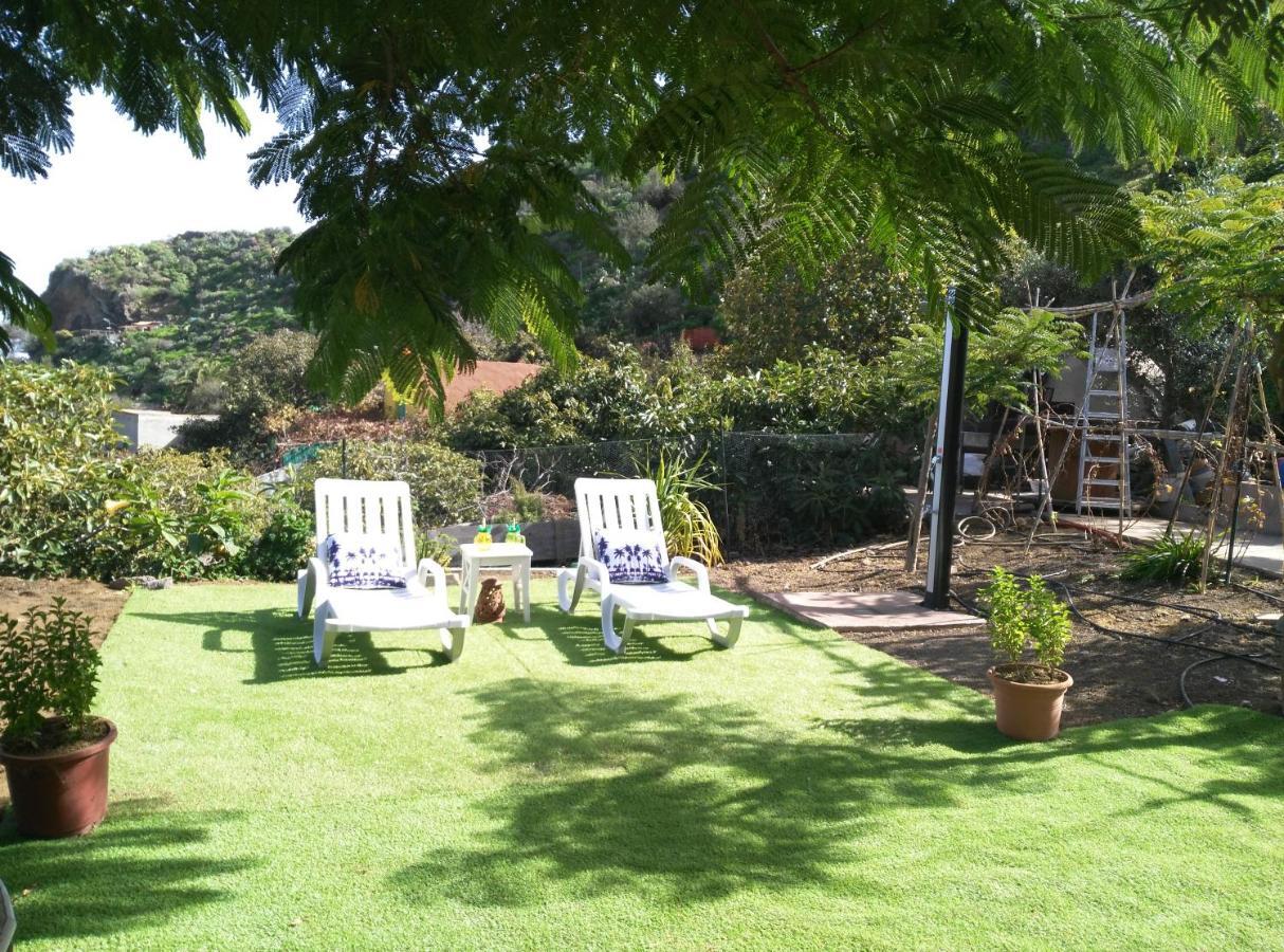 Villa Peaceful House Set On A Vineyard & Work Friendly Valsequillo de Gran Canaria Exterior foto