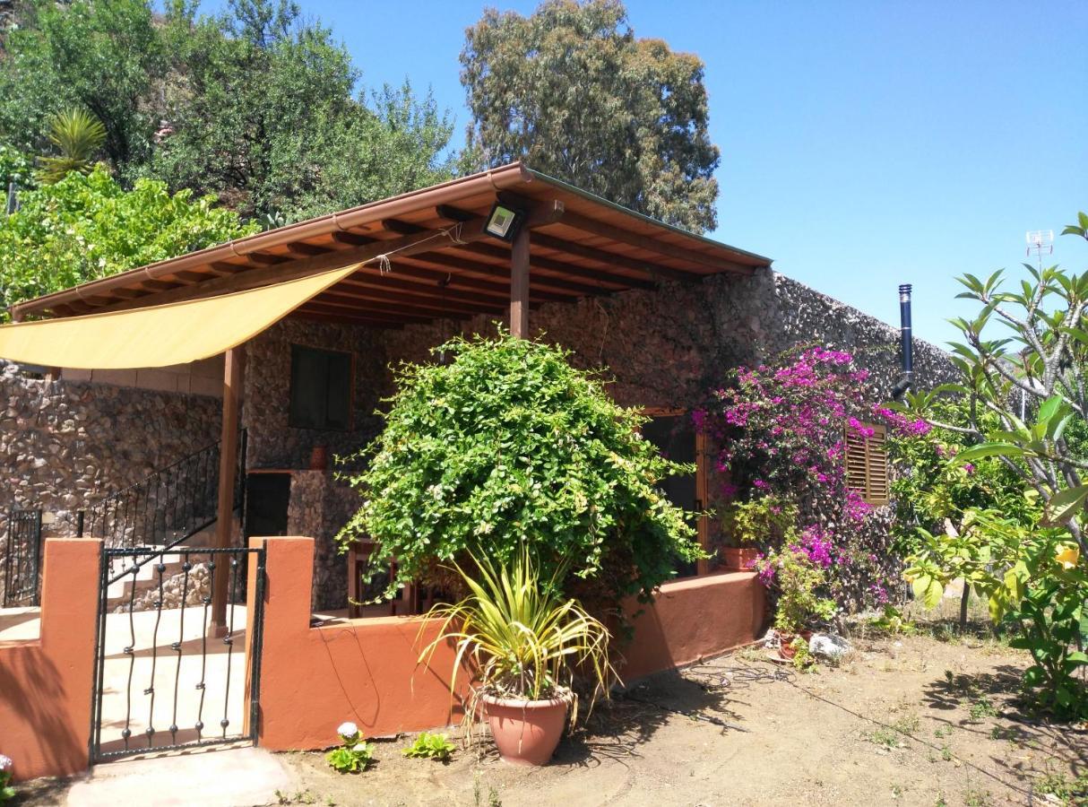 Villa Peaceful House Set On A Vineyard & Work Friendly Valsequillo de Gran Canaria Exterior foto